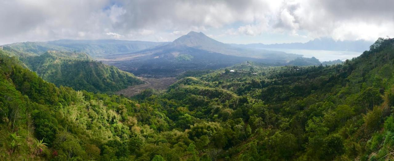 Alami Villa Ubud Exteriér fotografie